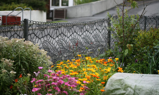 Anne Eunson Loves Lace So She Knit Herself a Garden Fence and It Looks Gorgeous … Now With Pattern!