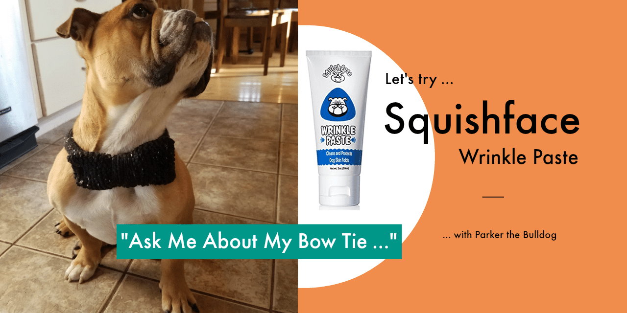 Squishface Wrinkle Paste is Brilliant For Cleaning Fleshy Bulldog Faces