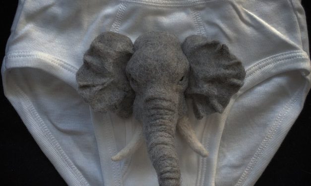 Felted Zoo Animals on Tighty Whities … And That’s How You Win At Handmade Underwear