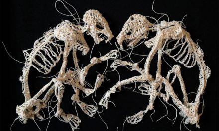 Caitlin McCormack Crochets Decaying Animal Skeletons