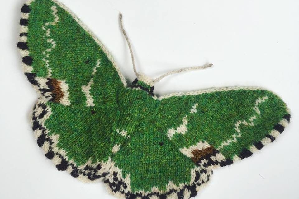 Blotched Emerald Moth (Comibaena Bajularia) Hand Knit By Max Alexander in Shetland Wool