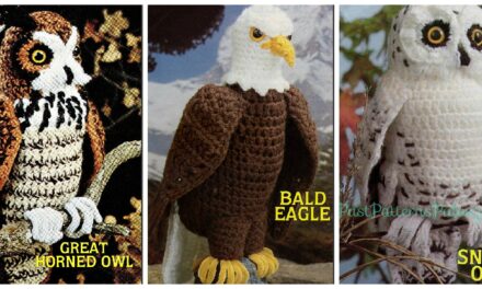 Amigurumi Lovers, This Collection of Vintage Crochet Bird Patterns is For You!