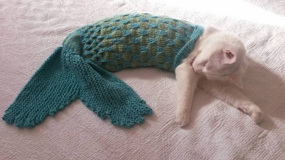 Unleash Your Cat’s Inner Mermaid With This Amusing Knit Mermaid Blanket / Photo Prop