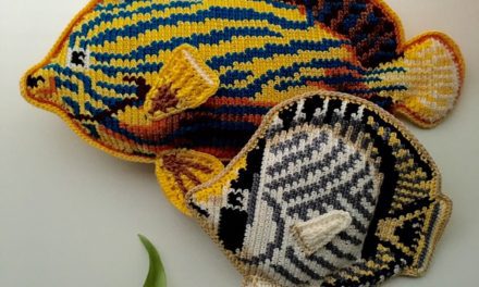I Spy a Couple of Crochet Butterflyfish … Oh, and a Nautilus Too …