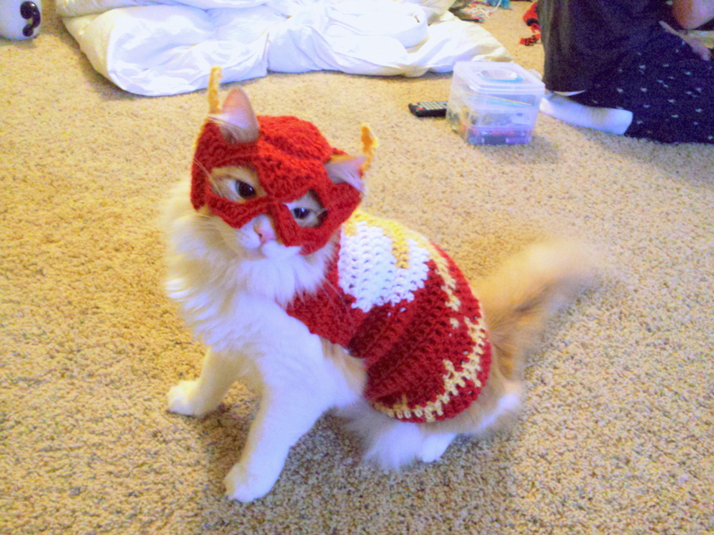 Check Out These Crochet Superhero Cosplays For Cats! Patterns & Tutorials Too!