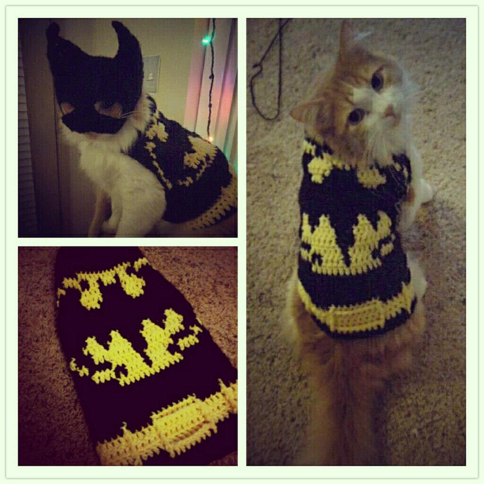 Check Out These Crochet Superhero Cosplays For Cats! Patterns & Tutorials Too!