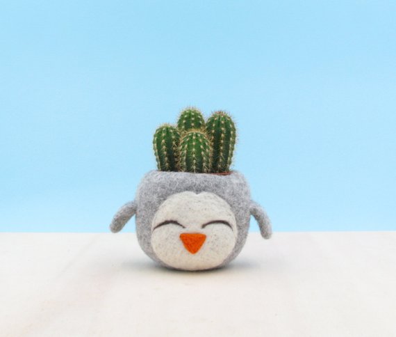 Felted Succulent Planters By The Yarn Kitchen - So Sweet!