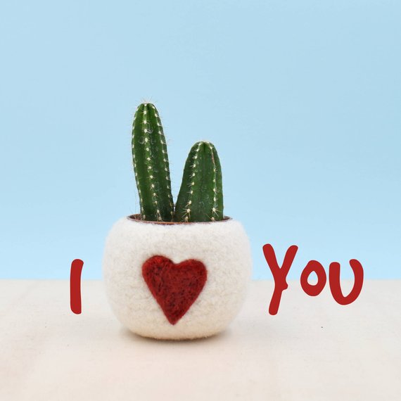 Felted Succulent Planters By The Yarn Kitchen - So Sweet!
