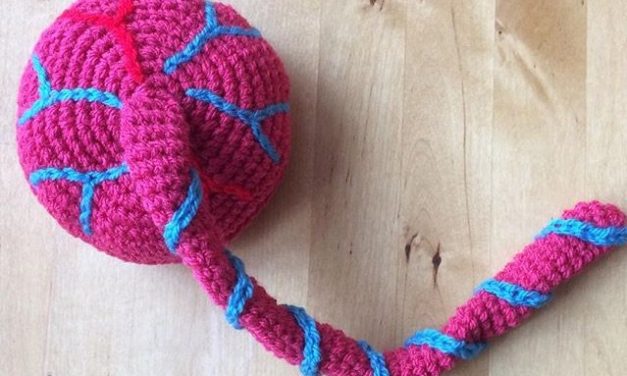 She Crocheted Childbirth Birth Teaching Aids – Popular Pattern Set Includes a Uterus, Placenta, Baby and Umbilical Cord