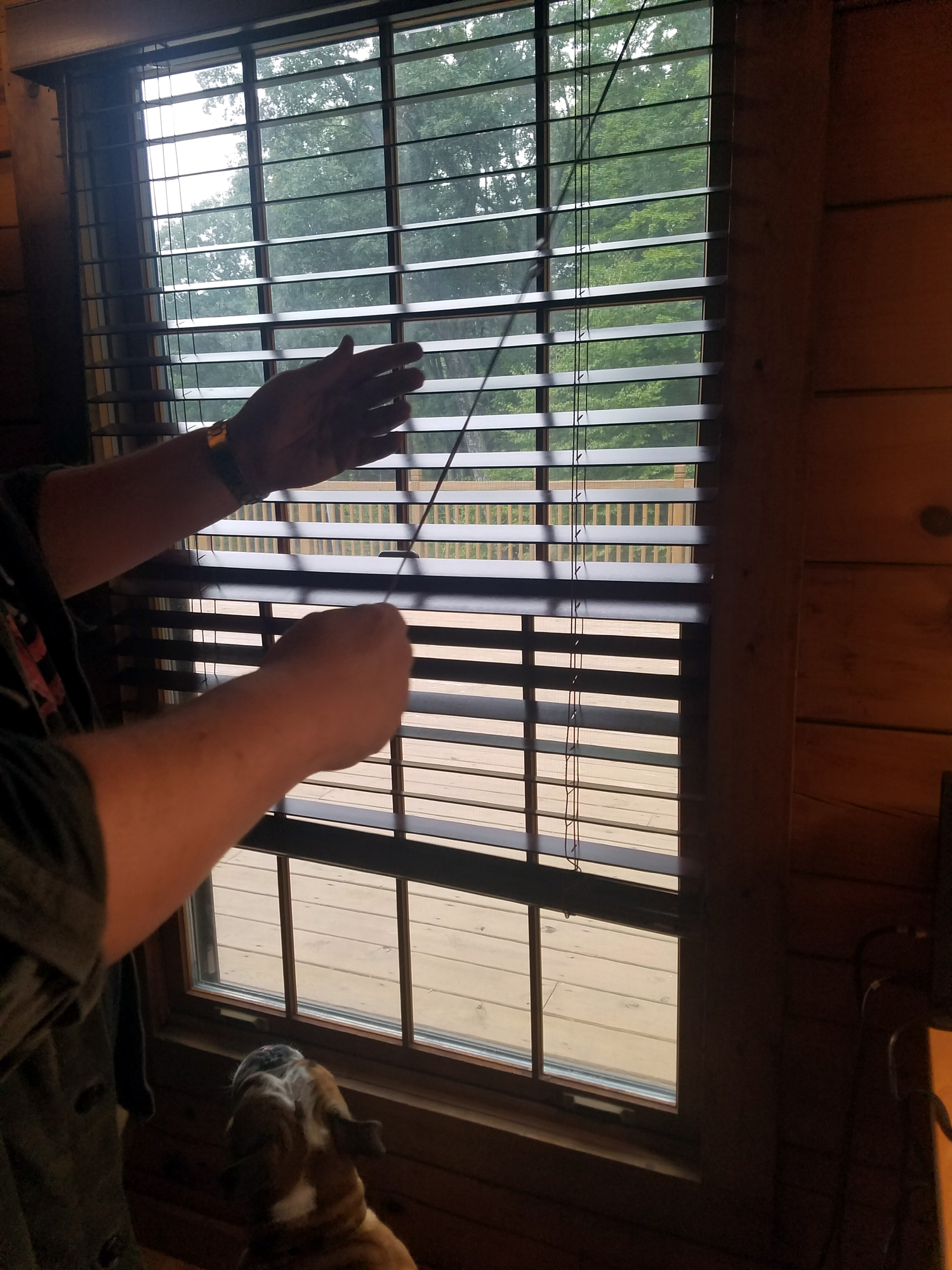 Review: I Installed Custom Zebra Blinds in My Craft Room and They Look Great! KnitHacker Readers Save 5% For a Limited Time!