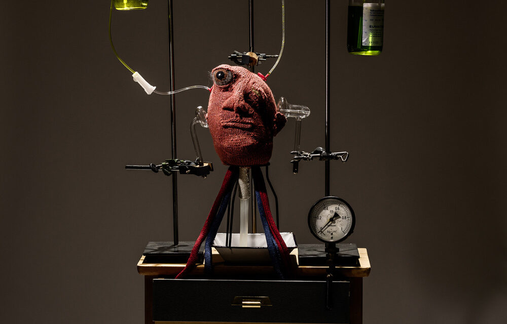 Madame Tricot’s Laboratory of Applied Genetics … This Is Imaginative Knitting!