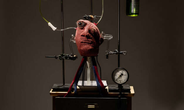 Madame Tricot’s Laboratory of Applied Genetics … This Is Imaginative Knitting!