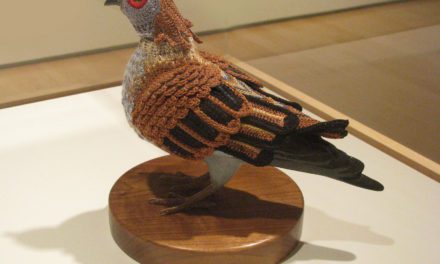 This Pigeon Wears a One-of-a-Kind Crochet Sweater To Represent the Laysan Crake, a Bird Species Lost To Extinction