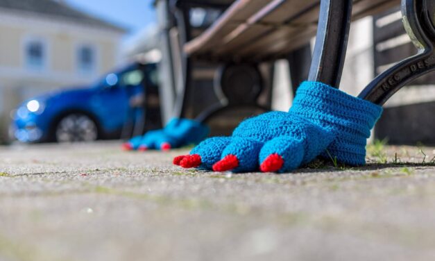 Fun Yarn Bombs Spotted in Liskeard For Their Annual Wool Festival