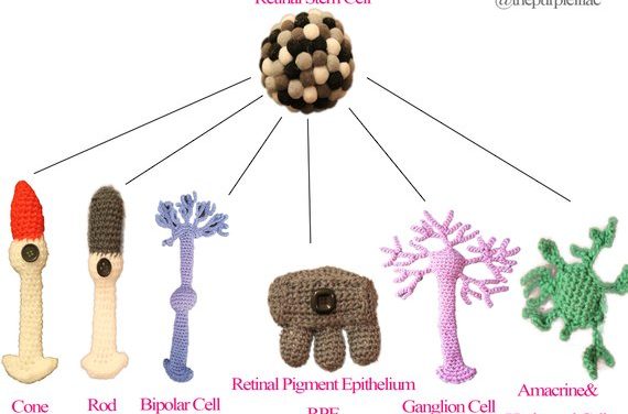 The Purple Lilac Crochets Science So You Can Too