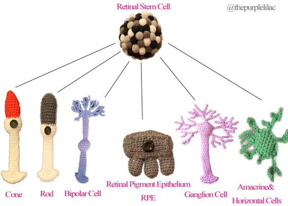 The PurpleLilac Crochets Science So You Can Too