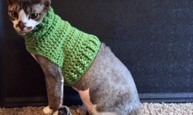 cat crochet | KnitHacker