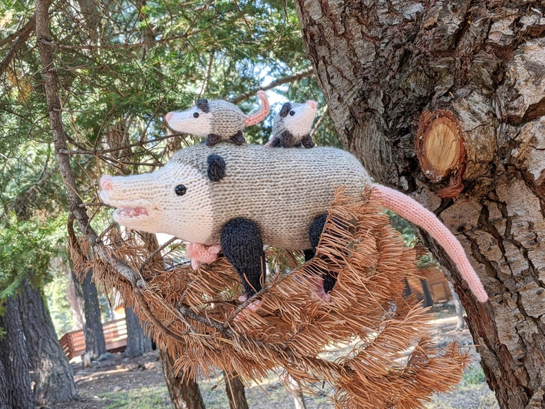 Seven Reasons to Play Possum (All of Them Patterns)