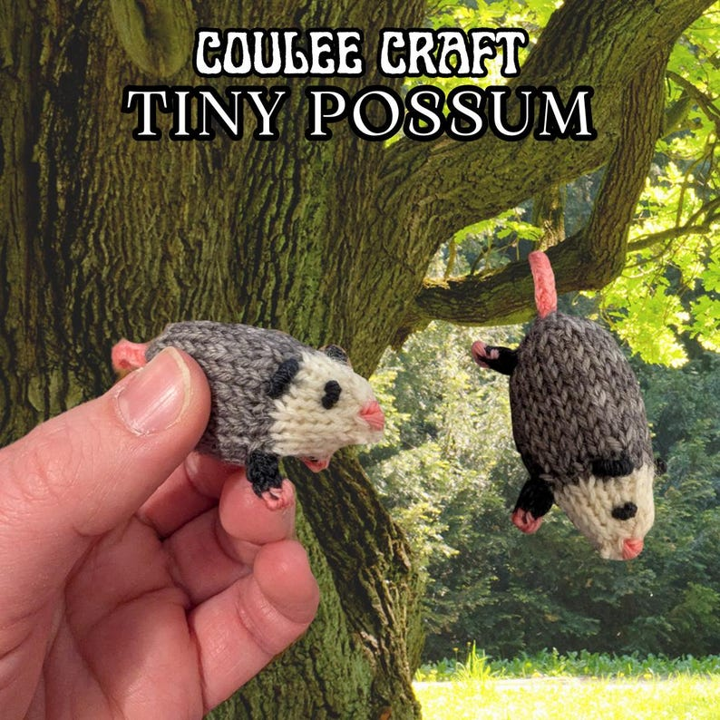 Seven Reasons to Play Possum (All of Them Patterns)
