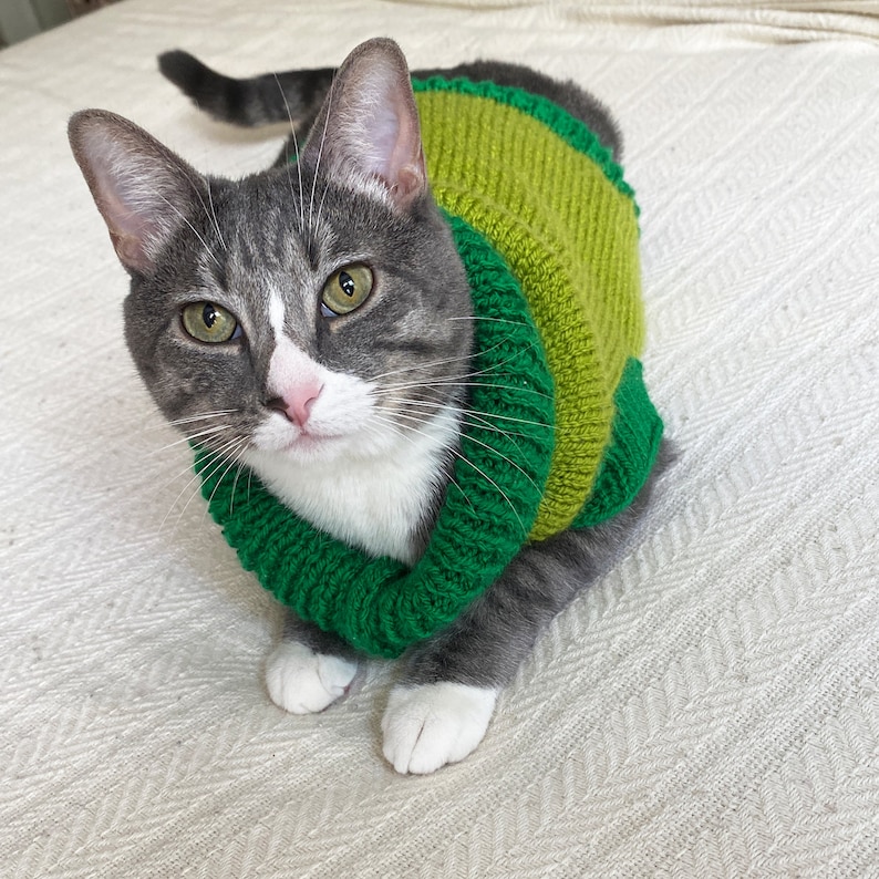 Everyday Can Be Caturday When You Knit a Dapper Cat Sweater!