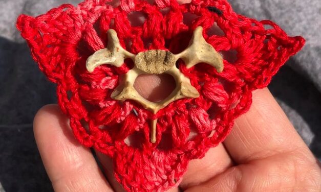 When Crochet Meets Raccoon Vertebra, Things Get Interesting