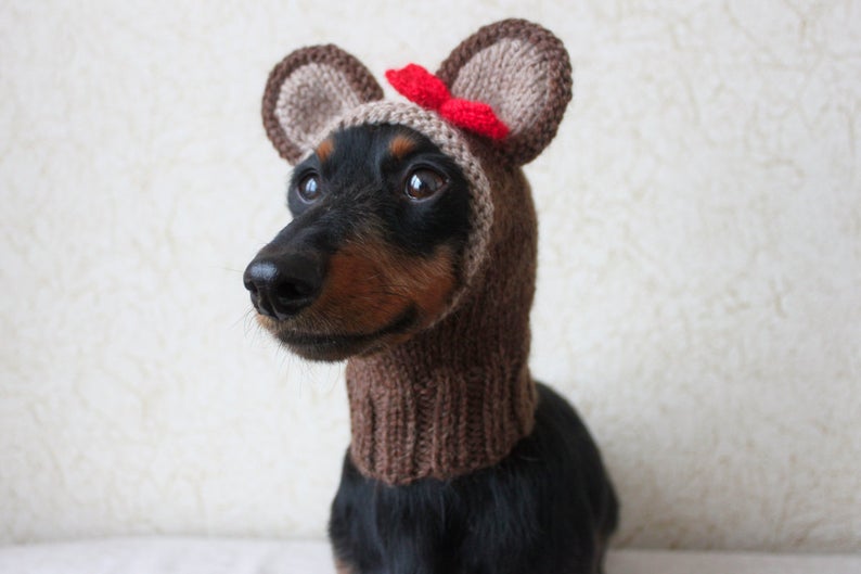 Designer Spotlight: The Most Creative Knitted Dog Hats & Cosplay Patterns Designed By Lucky Fox Knits