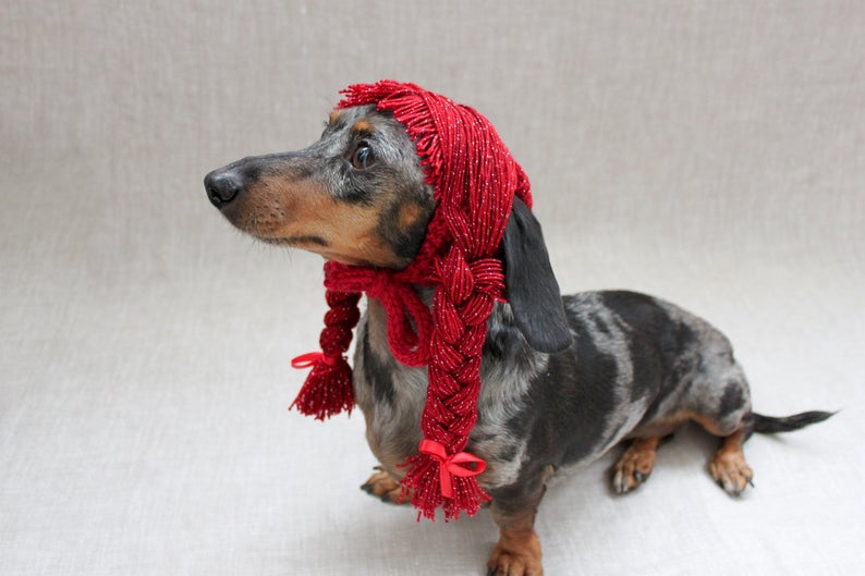 Designer Spotlight: The Most Creative Knitted Dog Hats & Cosplay Patterns Designed By Lucky Fox Knits