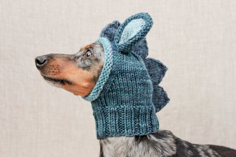 Beginner Dog Hat pattern by Valya Boutenko