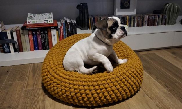 Your Puppy Called, He’s Got a Fever and the Only Prescription is a Cute Crochet Pouf!