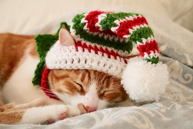Crochet a Christmas Elf Hat for Cats