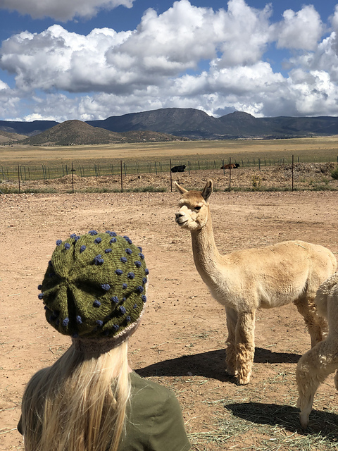 Knit a ‘Blueberries For Sally’ Slouchie Hat, Designed By Sally Hogancamp