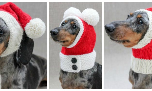 Three Funny Little Christmas Hats To Knit For Our Doggy Friends …