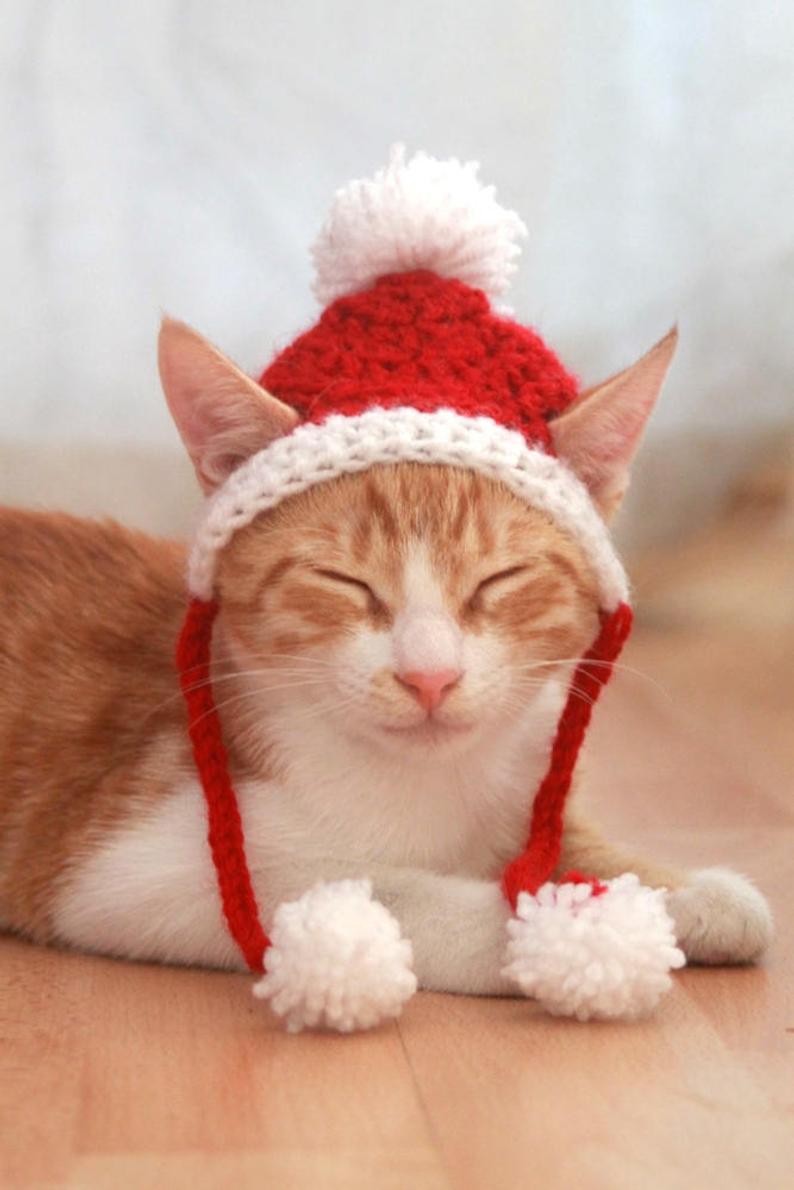 Crochet Cat Hats! #crochet #cats #caturday