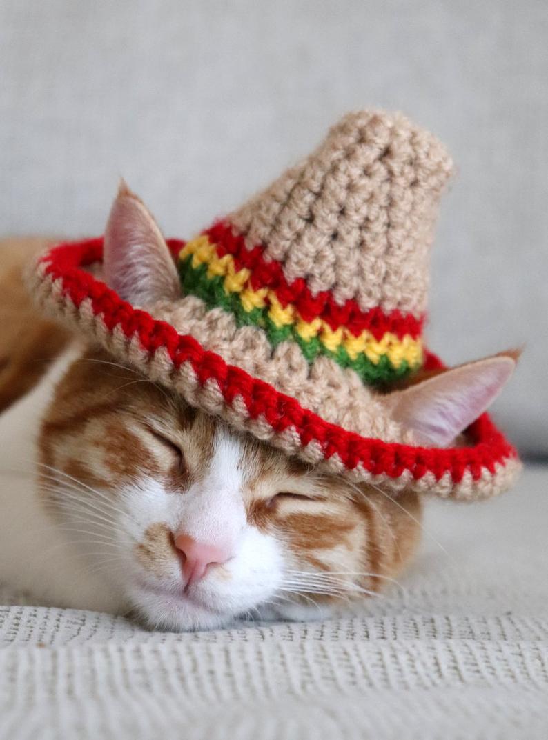 Crochet Cat Hats! #crochet #cats #caturday