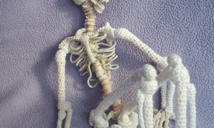Crochet an Anatomically Correct Skeleton – FREE Pattern Includes All 206 Bones, 1/5th Size Scale Model!