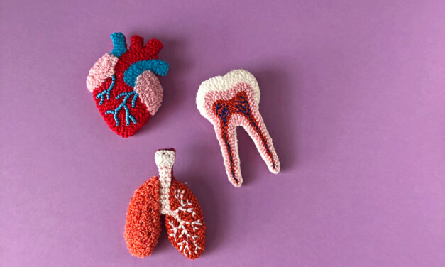Punch Needle Organs … New Anatomical Fiber Art Embroidered By Hiné Mizushima