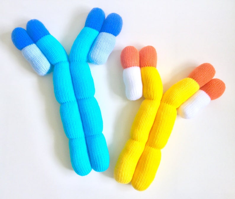 Knit Your Own Giant Antibodies (lgE and IgG), Patterns By Dawn Finney