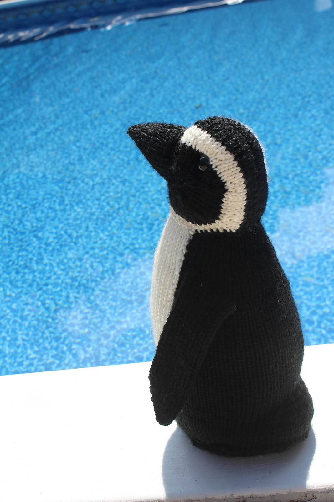 Knit An African Penguin, Pattern Designed By Rachel Borello Carroll
