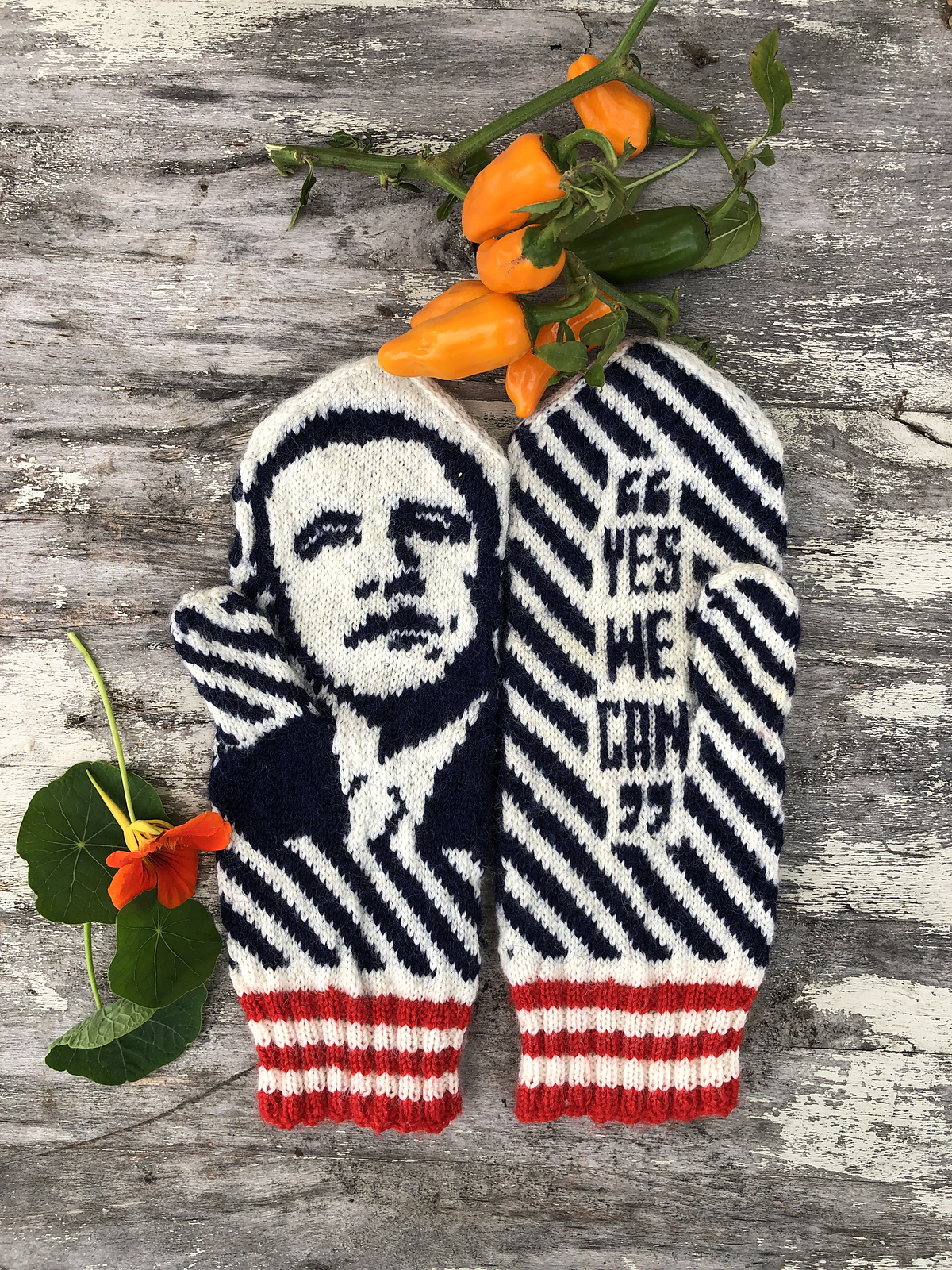 Missing The Obamas? Knit These Mitts Designed By Lotta Lundin ... Yes, We Can!