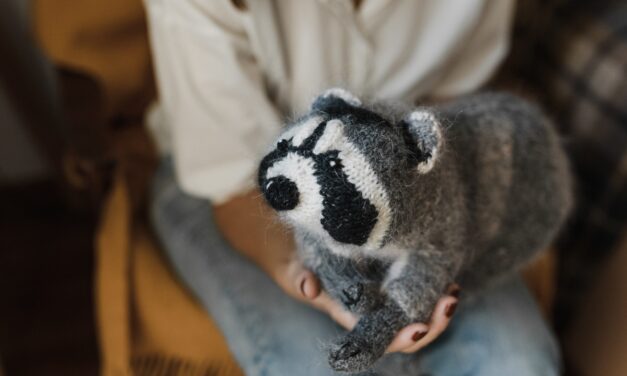 Eco Toys for Children: The Benefits of Knitted Toys