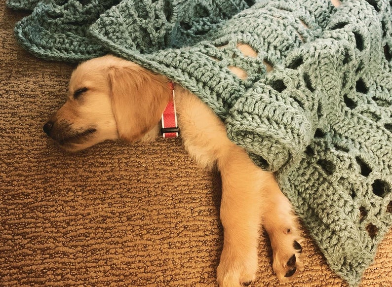 knit and crochet patterns designed by Seniya Studio