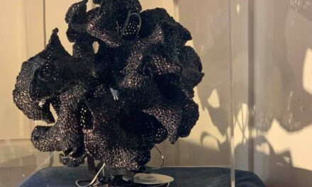 Christine Wertheim’s Hyperbolic Pseudosphere Crocheted From Video Tape