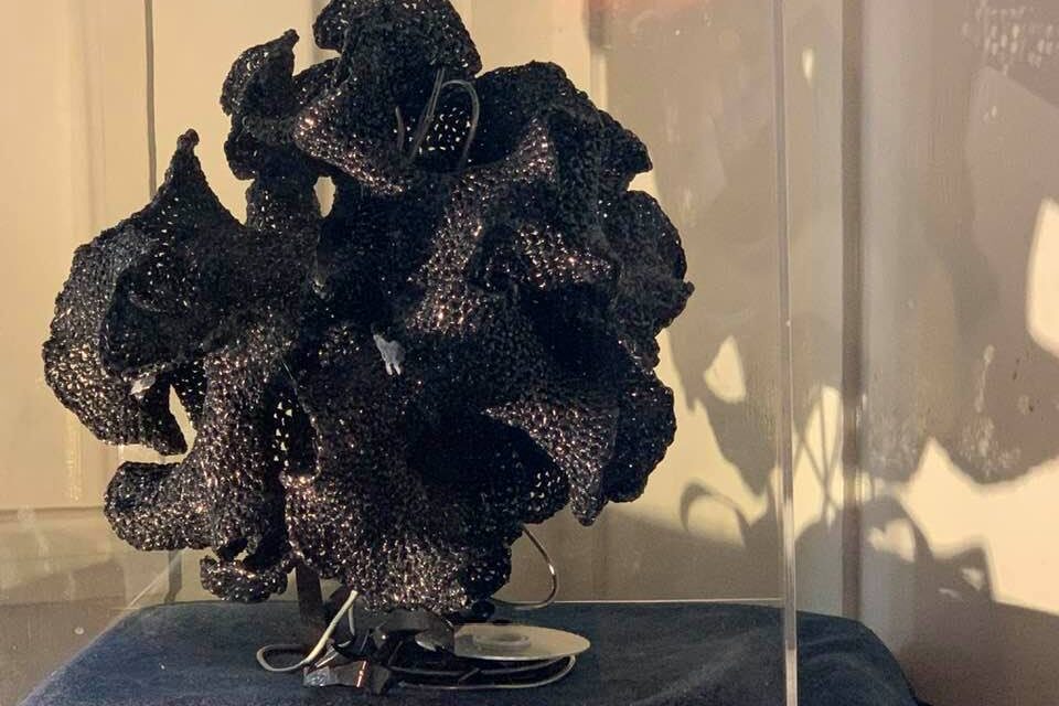 Christine Wertheim’s Hyperbolic Pseudosphere Crocheted From Video Tape