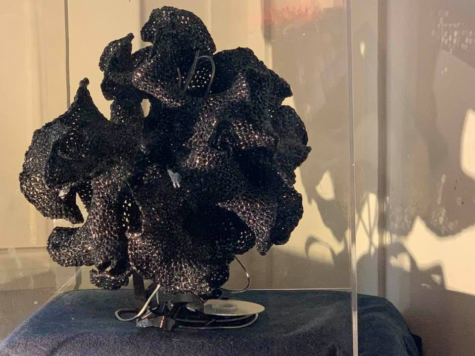 Christine Wertheim's Hyperbolic Pseudosphere Crocheted From Video Tape