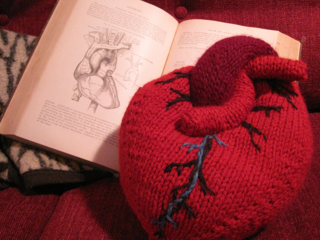 The Best Anatomical Heart Patterns For Knitters and Crocheters!