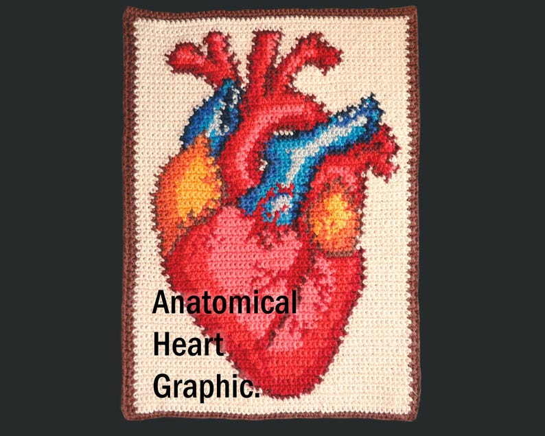 The Best Anatomical Heart Patterns For Knitters and Crocheters!