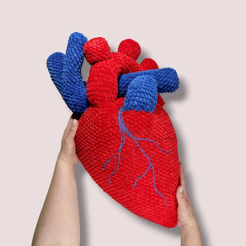 The Best Anatomical Heart Patterns For Knitters and Crocheters!