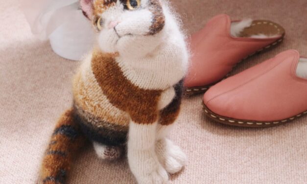 Knit a Lifelike Calico Kitten, This Must-Make Brought To You By Claire Garland