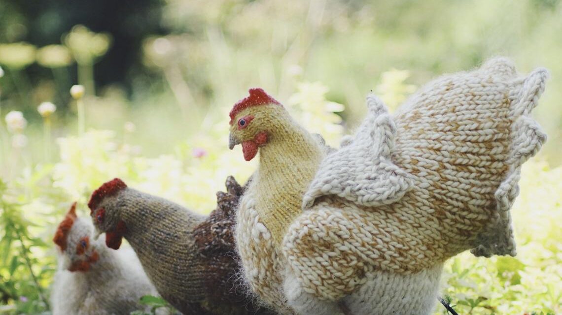 Christmas In July … Knit A Hen For A Chicken Lover On Your List