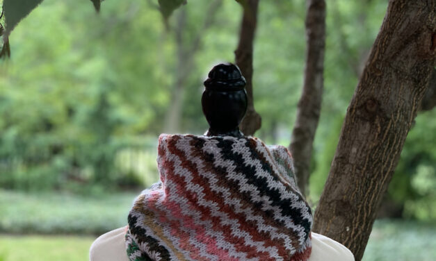Knit a ‘Just Wiggle It’ Cowl, Fun Pattern Designed By Susan Ashcroft